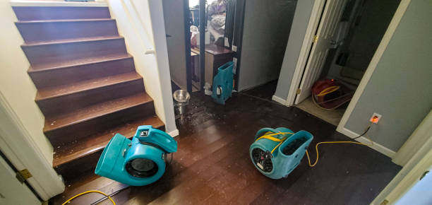 Best Carpet water damage restoration  in Pennside, PA